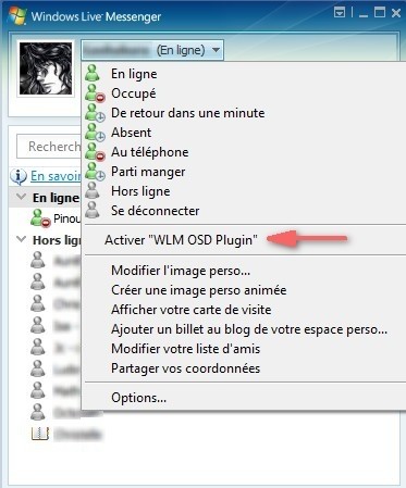 Activation du plugin