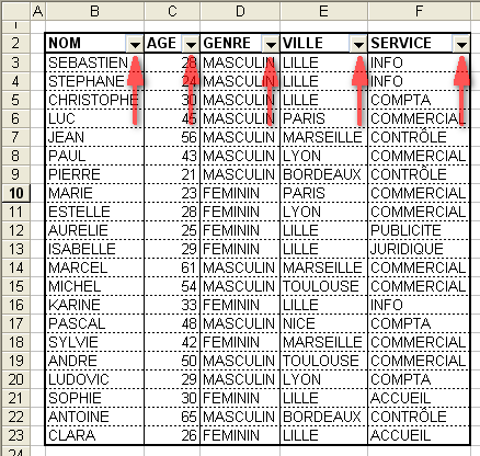 aperçu du tableau avec le filtrage activé
