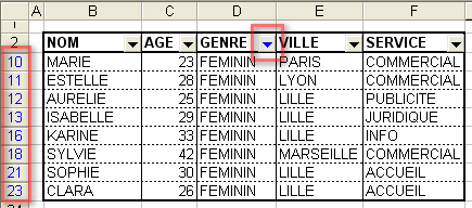 Aperçu du tableau avec le filtre actif