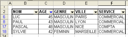 Résultat du filtrage personnalisé