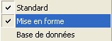 Affichage de la barre de mise en forme Cochez pour afficher les raccourcis des fonctions de mises en forme