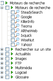 Options de recherche Options de recherche